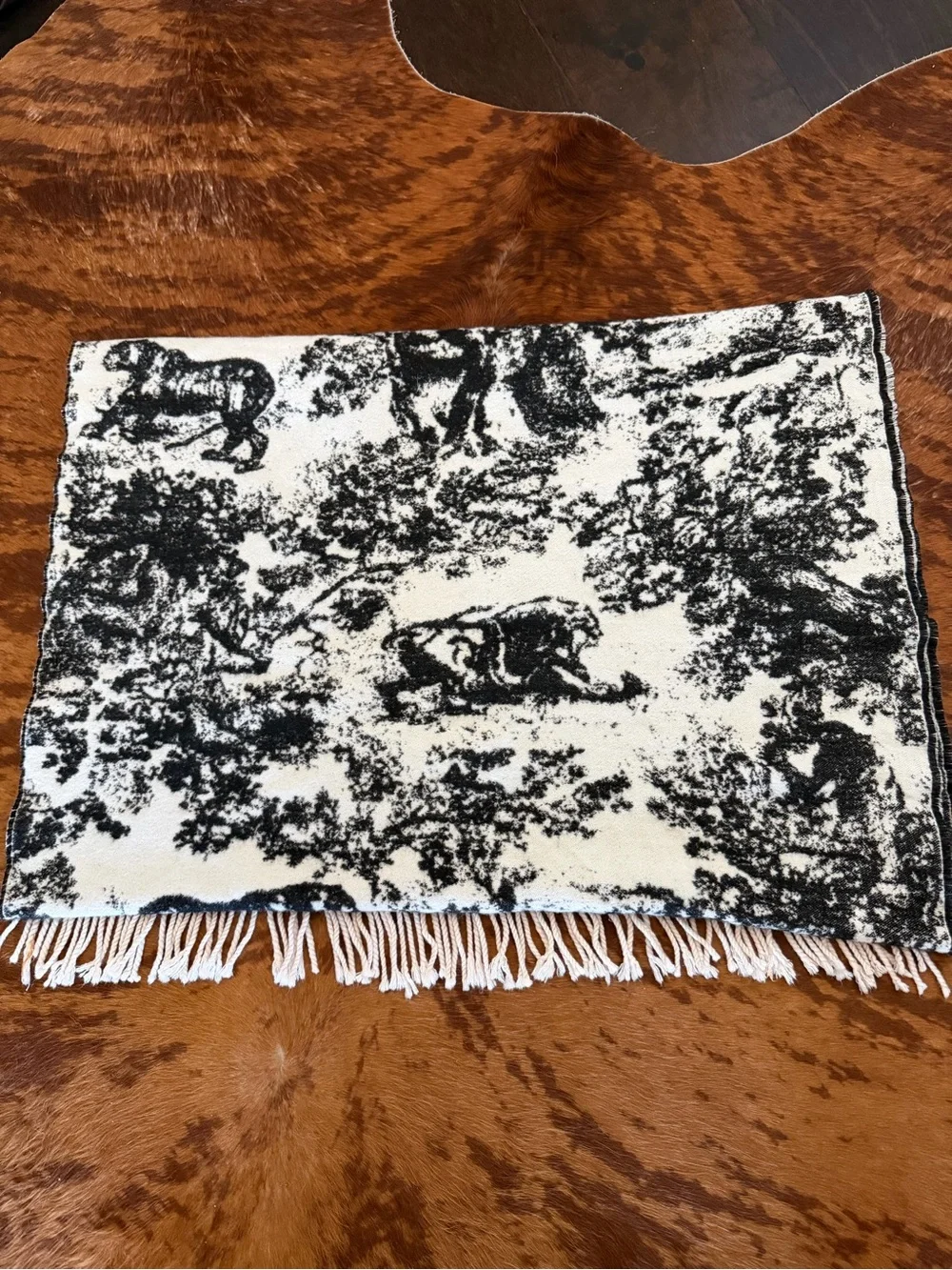 Christian Dior Fringe Scarf